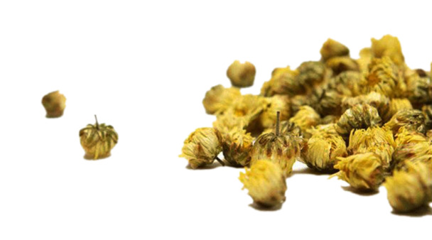 杭白菊花苞干高清PNG透明图片，生活装饰元素设计素材下载