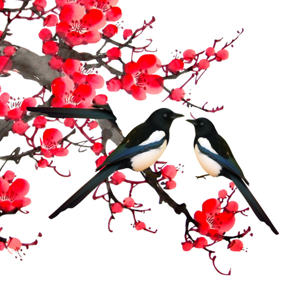 喜鹊杏花PNG素材，高清透明图片，笔触装饰元素，设计下载