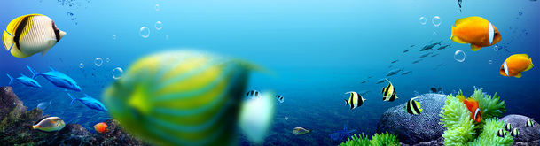海底世界背景，高清PNG透明图片，创意Banner海报设计素材免费下载