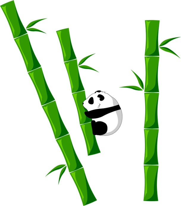 卡通竹子大熊猫矢量图，高清PNG透明动植物元素，设计素材免费下载