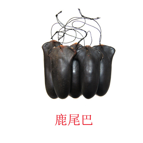 鹿尾巴药材高清PNG透明图片，动植物元素设计素材，免费下载