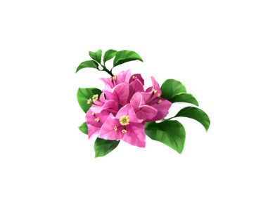 绿叶三角梅PNG透明素材，高清植物装饰元素，免费下载