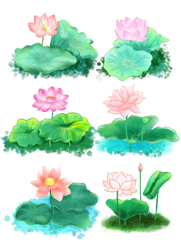 优美荷花荷叶莲花PNG素材，高清透明图片，设计装饰元素一网打尽！