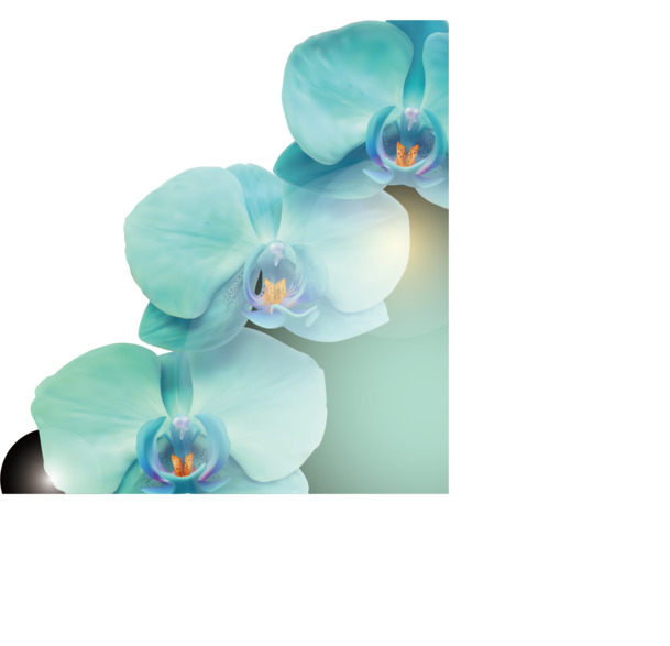 梅花花朵淘宝素材，精选矢量高清PNG透明图片，含花絮、漂浮花瓣，设计素材免费下载