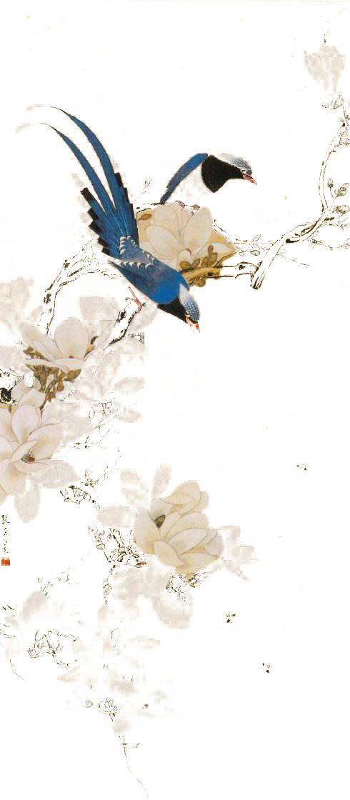 花鸟画PNG透明图，高清植物装饰元素，设计素材下载