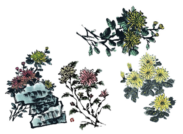重阳花高清PNG透明图，节日元素PSD素材免费下载