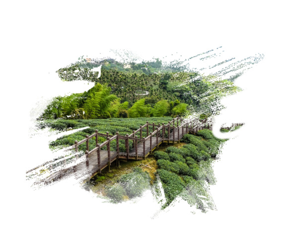 茶园风光PNG背景，高清透明图片，设计素材免费下载