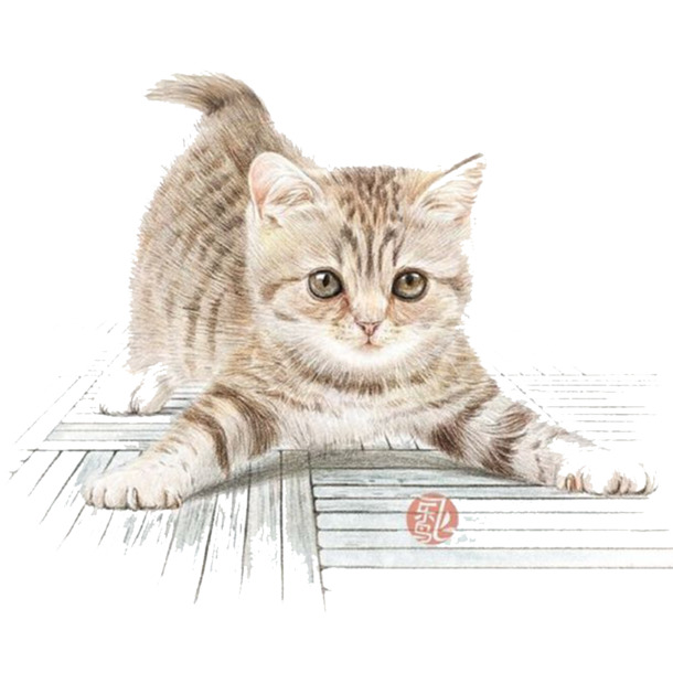 卡通手绘猫咪PNG/PSD素材，高清透明图片，动植物元素丰富