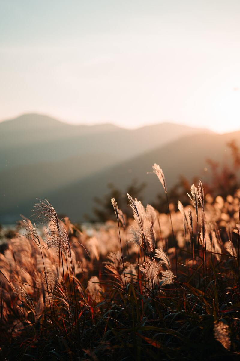唯美秋景高清JPG，摄影佳作与风景设计素材，一键下载