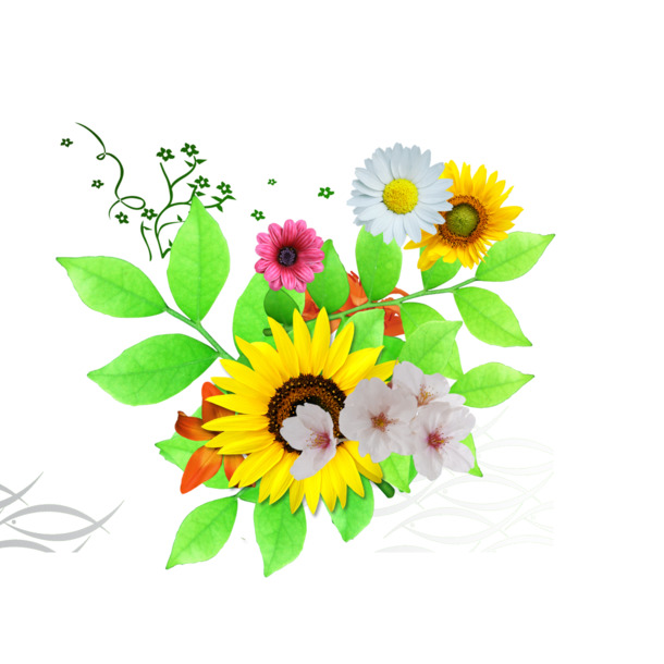 花朵PNG透明图集，高清漂浮花瓣PSD设计素材，一键下载
