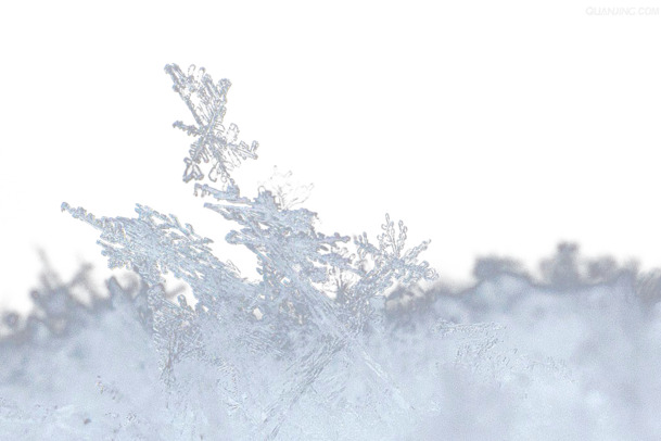 圣诞节积雪PNG透明图片，高清节日元素设计素材下载