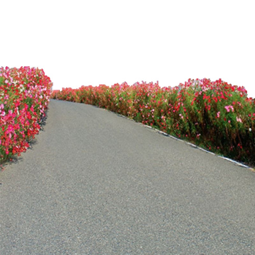 柏油路与花卉，高清PNG透明背景摄影素材，风景设计元素免费下载