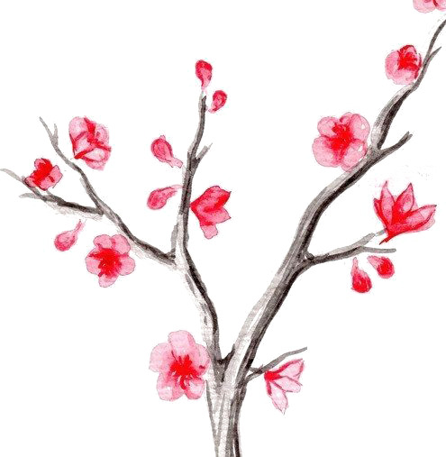 水彩枝条PNG透明图，高清花瓣漂浮元素，设计素材免费下载