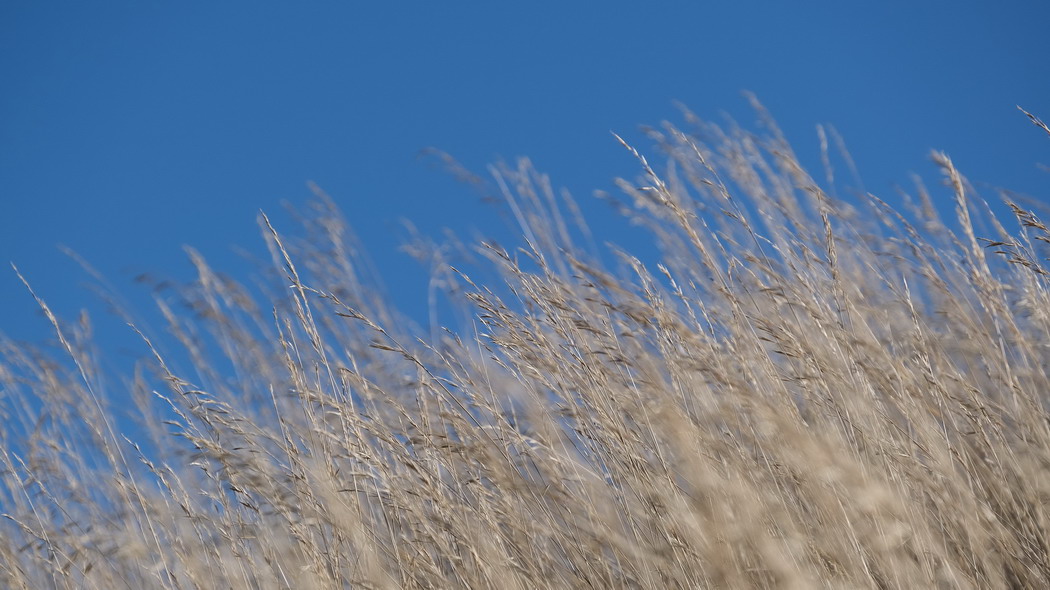 草原干燥风光，自然模糊之美，高清4K天空壁纸，3840x2160超清下载