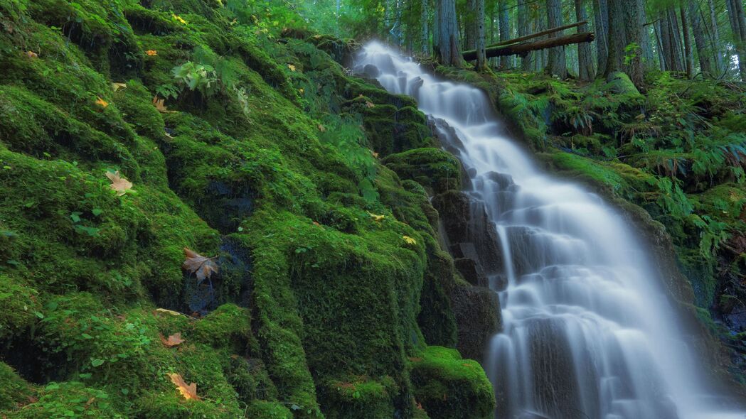 瀑布苔藓自然美景，超高清4K风景壁纸（3840x2160）免费下载