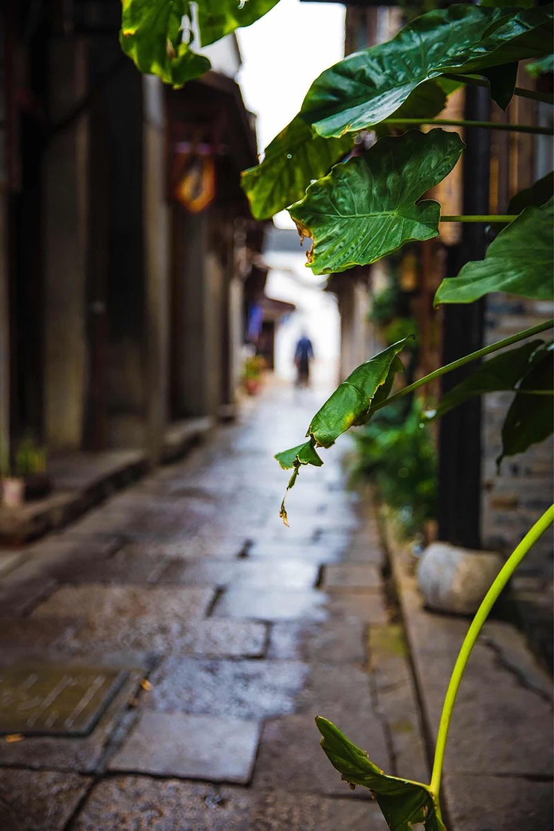 苏州古镇小街美景，高清JPG图片素材，尽享风景摄影设计之选