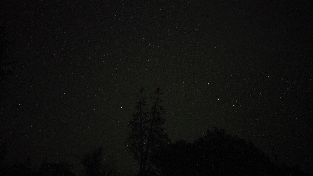 夜晚星空下的树木，高清4K壁纸，3840x2160超清背景图片免费下载