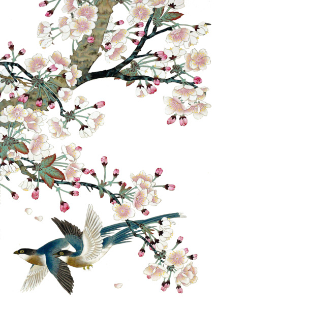 花鸟图PNG透明素材，情人节节日元素，高清设计图片免费下载