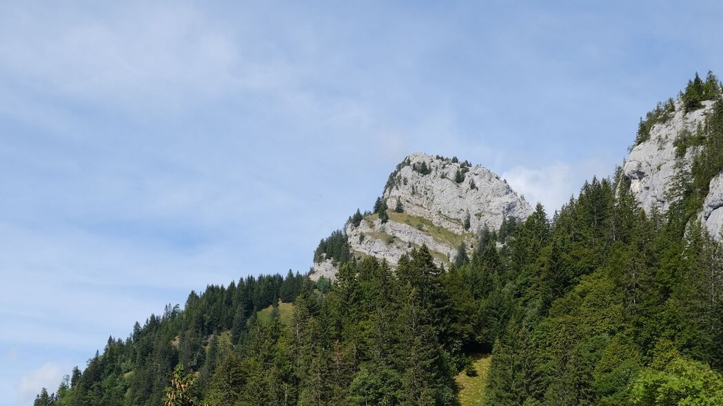 树木山丘森林美景，4K高清壁纸，3840x2160分辨率，畅享自然之美