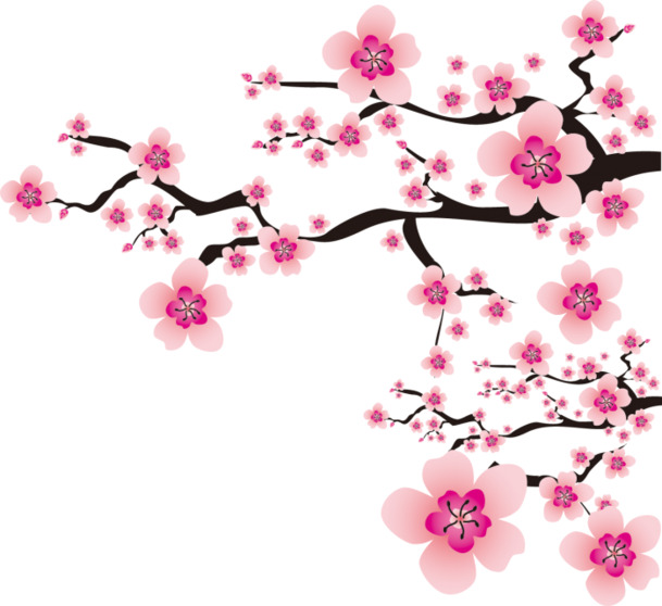 樱花装饰花合集，高清PNG透明图片，CDR与CER格式设计素材下载