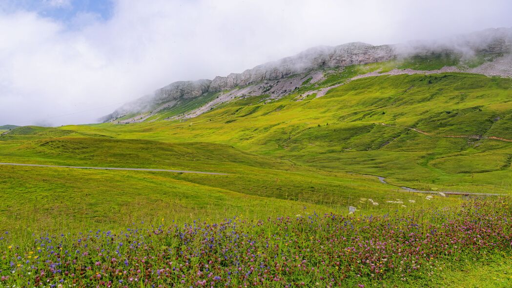 山谷花草美景，高清4K风景壁纸，3840x2160分辨率下载