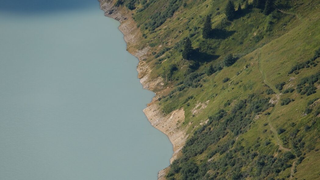 斜坡绿意盎然，草木葱茏自然美景，4K高清壁纸3840x2160下载