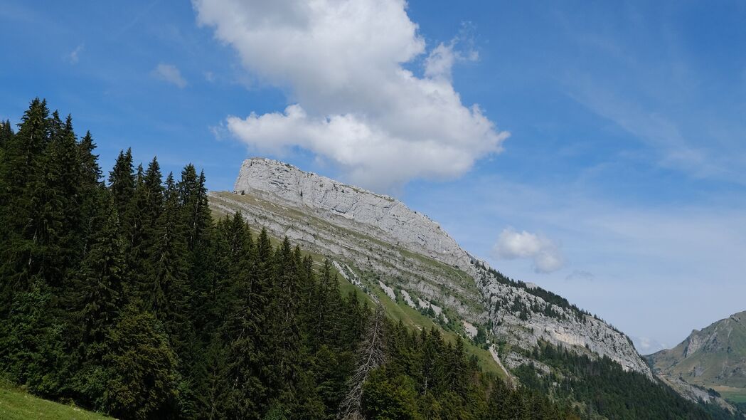 自然之美，斜坡树木山景，4K高清壁纸，3840x2160超清下载