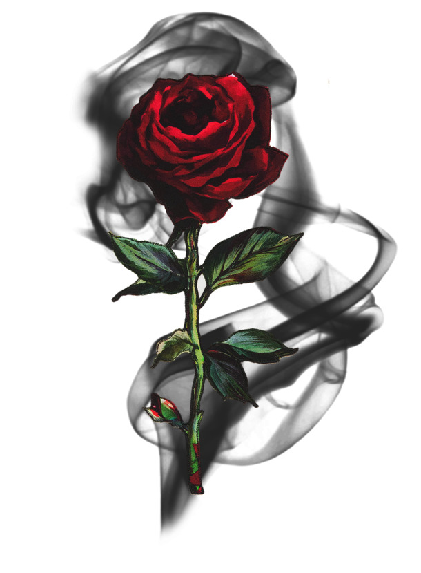 玫瑰花PNG透明图片，高清装饰花纹素材，免费下载！