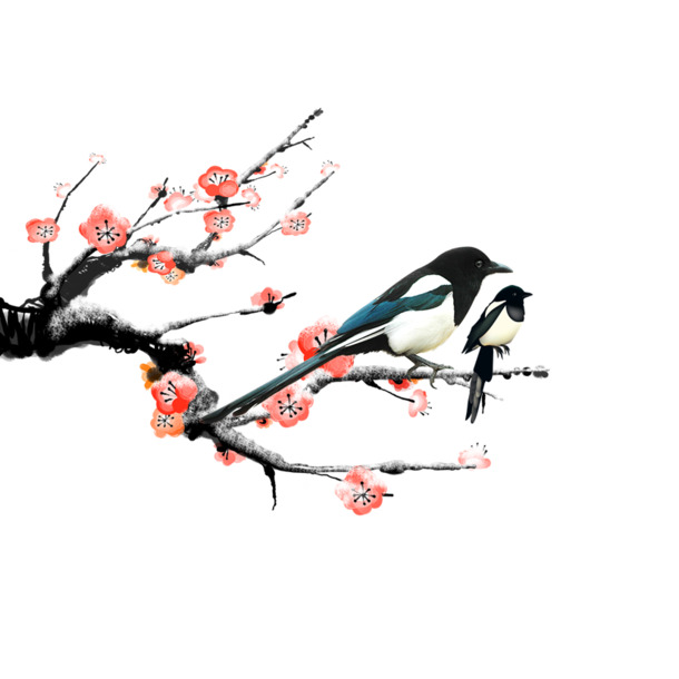 喜鹊高清PNG透明图，情人节节日元素，设计素材免费下载