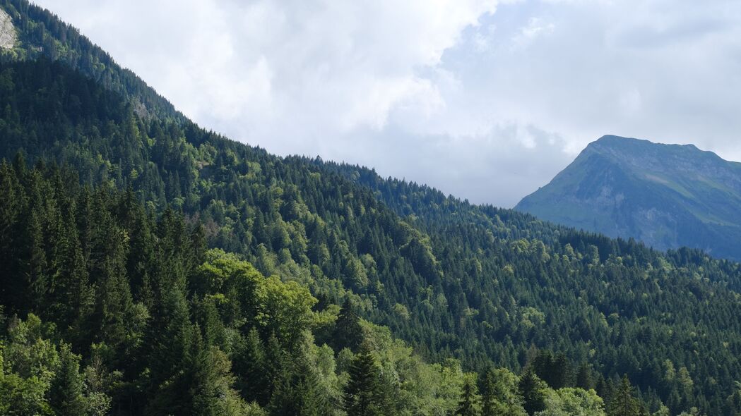 绝美自然风景，斜坡森林山脉，4K高清壁纸（3840x2160）免费下载