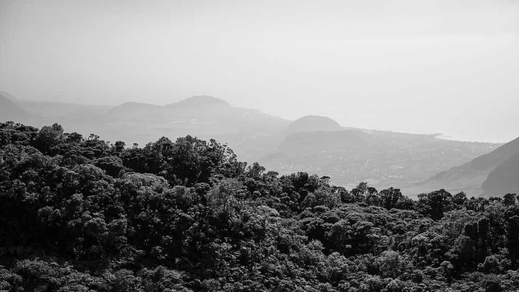绝美4K壁纸，黑白自然，树木丘陵隐于雾中，高清3840x2160下载