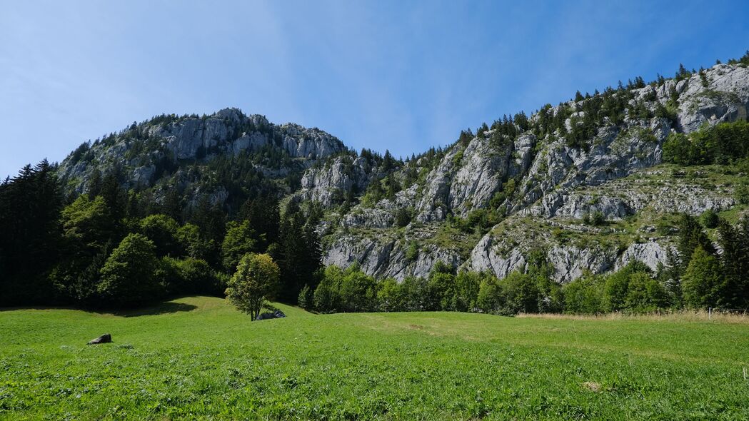 绝美山谷草地4K风景壁纸，高清3840x2160分辨率，树木山脉尽收眼底