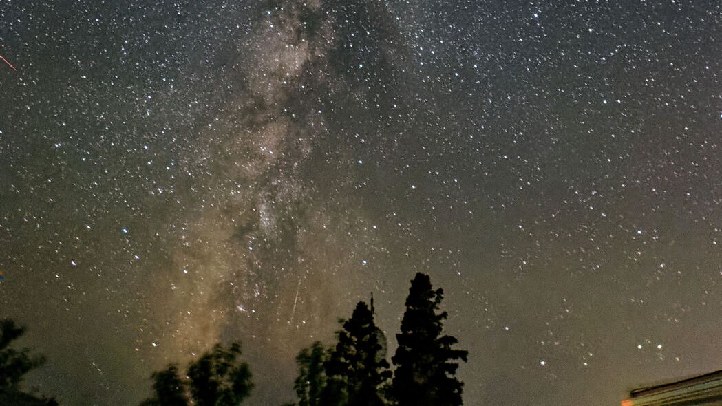 银河之夜，星光璀璨树木间，4K超清壁纸，3840x2160高清背景图片免费下载