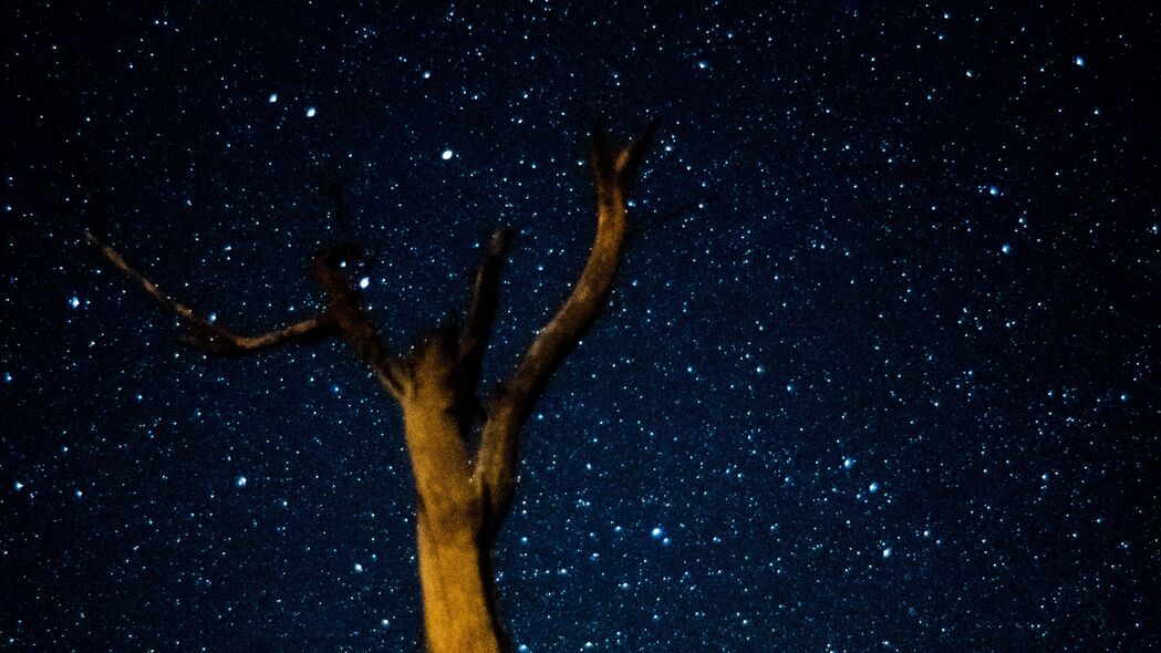 绝美树影，银河繁星，4K星空壁纸，高清3840x2160背景图片，免费下载