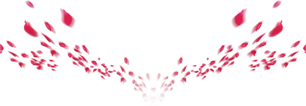 漂浮花瓣PNG透明图片，高清素材，设计元素下载