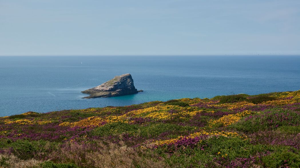 海岸岩石与花草交织，4K高清大海风景壁纸（3840x2160）免费下载