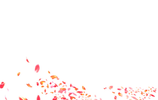 花瓣元素高清PNG，透明飞舞图片，设计素材免费下载