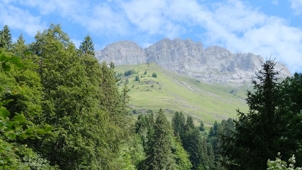 绝美岩石山丘与树木风光，4K高清壁纸，3840x2160分辨率畅享下载