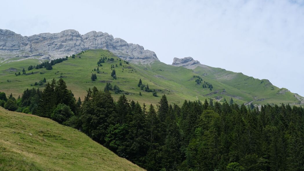 绝美山脉森林4K风景壁纸，高清3840x2160，斜坡树木天空尽收眼底！