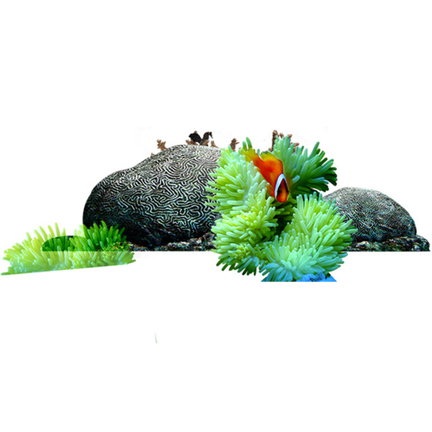 海草石头PNG透明图，高清植物装饰元素，设计素材免费下载