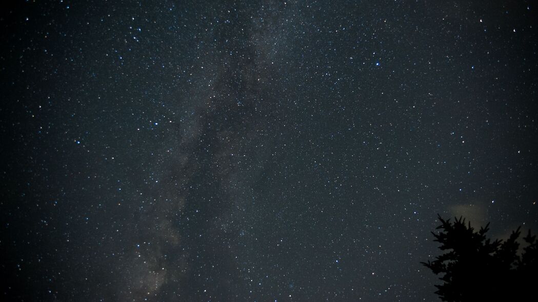 夜晚银河星光璀璨，深色树木映衬4K超清壁纸，3840x2160高清下载