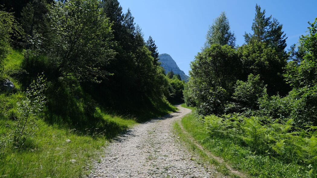 4K高清壁纸，道路树木自然山地美景，3840x2160超清下载