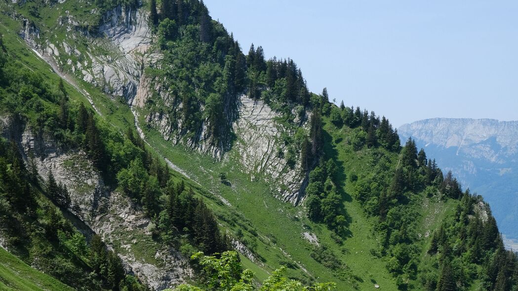 绝美4K树坡山草高清壁纸，3840x2160超清分辨率，免费下载！