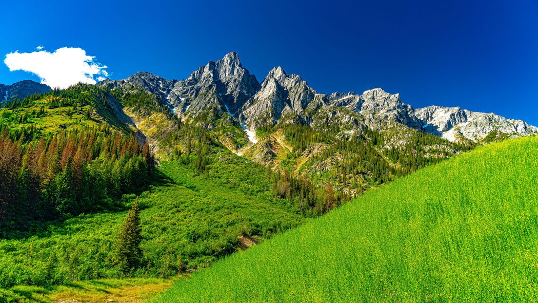 绝美岩石斜坡山谷风光，树木葱茏，4K超清壁纸3840x2160免费下载
