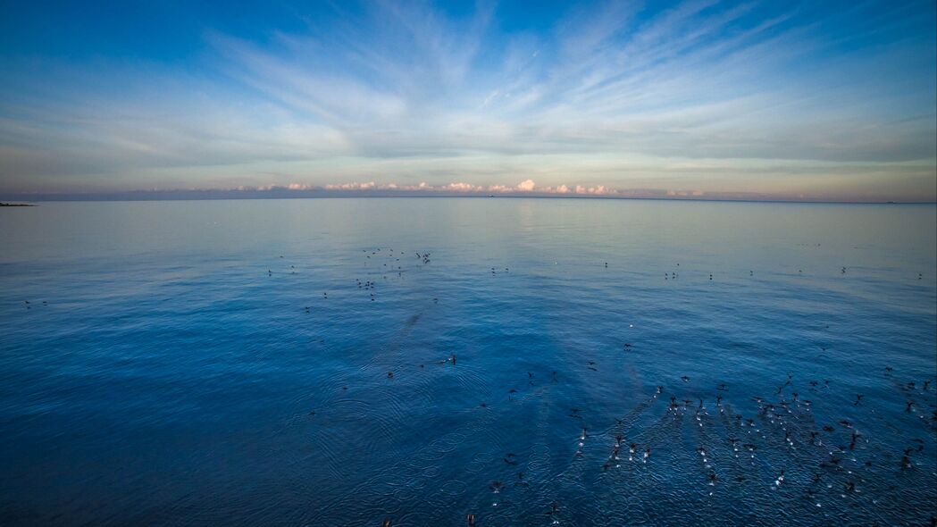 海鸟翱翔地平线，绝美天空4K壁纸，3840x2160高清下载
