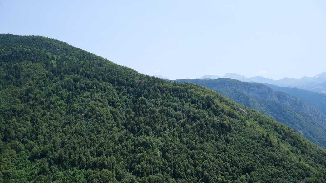 自然之美，树木森林丘陵4K高清壁纸，3840x2160超清大图下载
