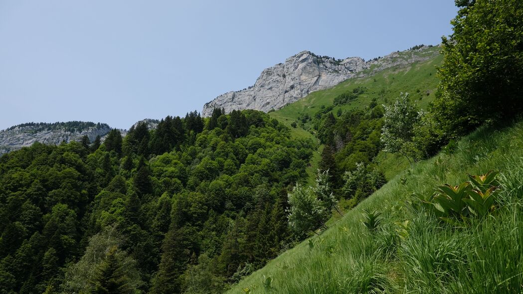 山坡草景树木美景，4K超高清壁纸下载（3840x2160）