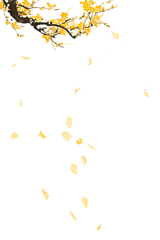 精致金色梅花PNG素材，手绘卡通元素，高清透明，PSD格式，免费下载