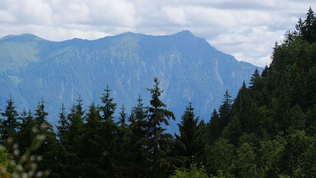 自然美景4K壁纸，山脉树木景观，超清3840x2160分辨率，高清下载