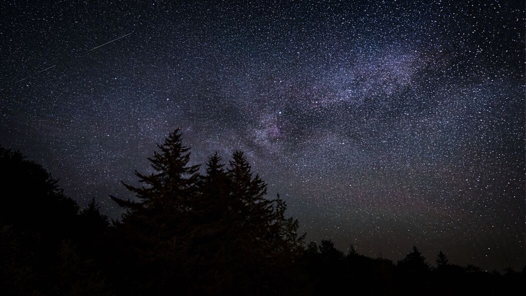 夜晚星空深邃之美，高清4K壁纸，3840x2160像素，棵树与星星共绘夜色画卷